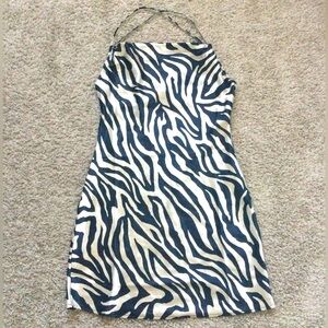 Silky Cowl Neckline Dress